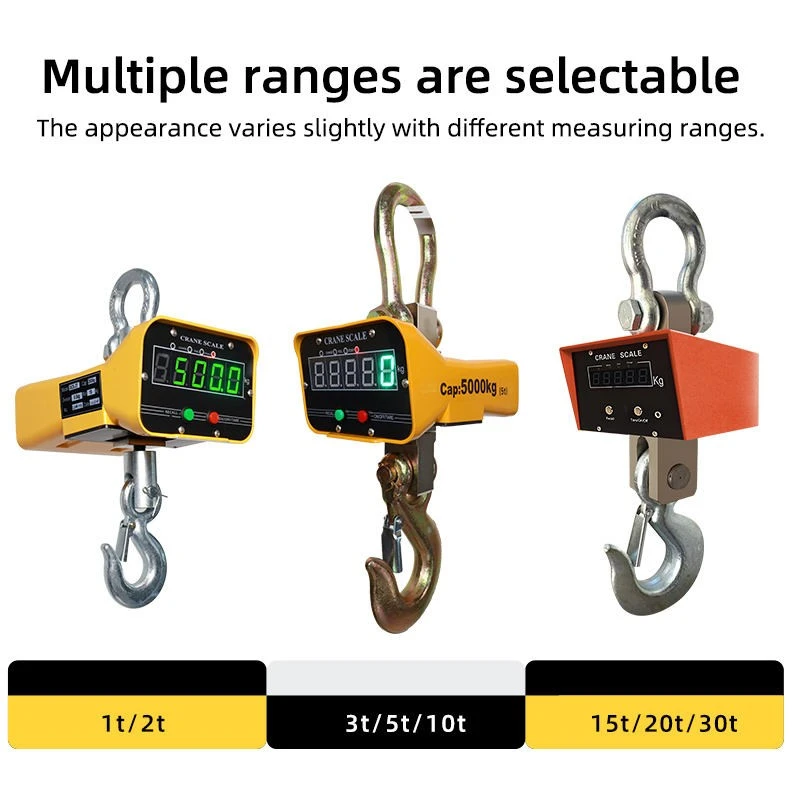 Electric&nbsp;Crane Scale