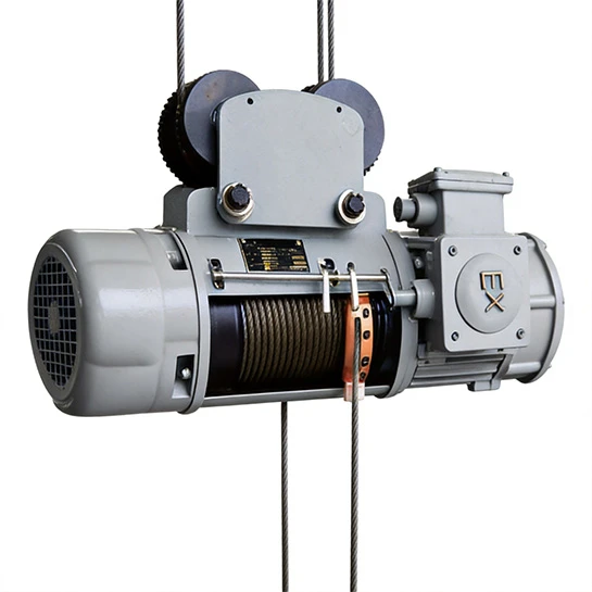 Explosion-proof wire rope electric hoist
