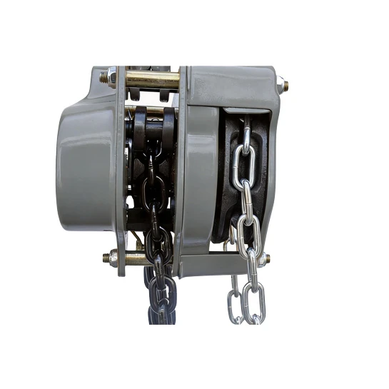 HS-VT Type Manual Chain Block