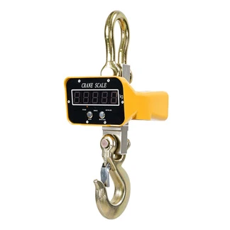 Electric&nbsp;Crane Scale